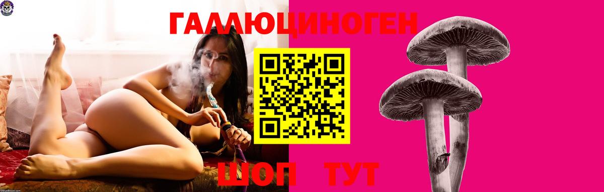 Апшеронск  Галлюциногенные грибы мухоморы  Вход с VPN  Псилоцибиновые грибы Psilocybine cubensis 